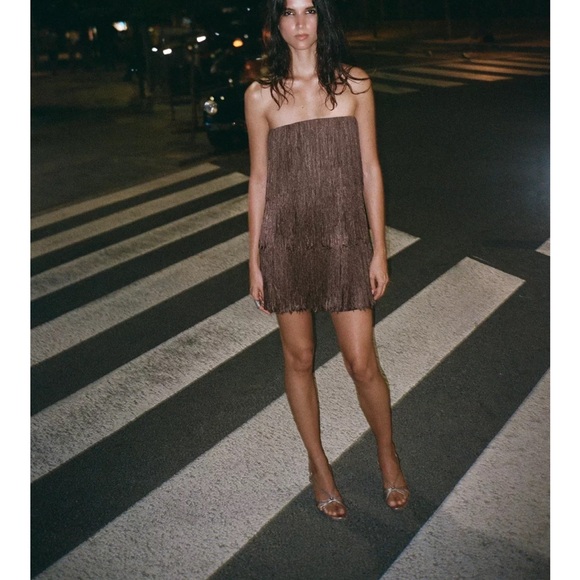 NWT ZARA VIRAL 2025 COLLECTION FRINGED STRAPLESS DRESS SIZE 
🚨FIRM PRICE - Picture 10 of 17